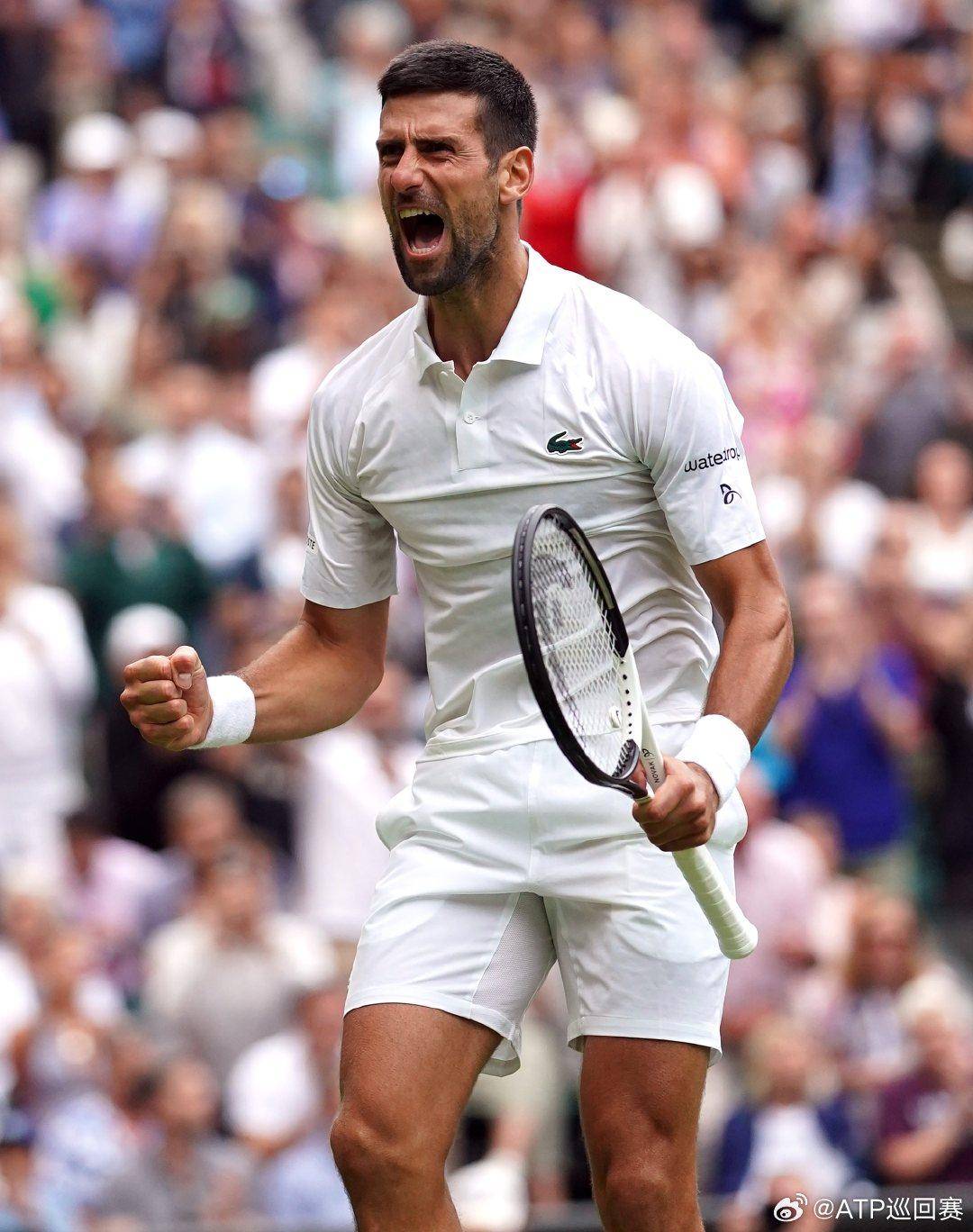 专注于团队 专注于团队