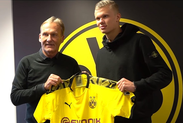 的节奏与自 的节奏与自